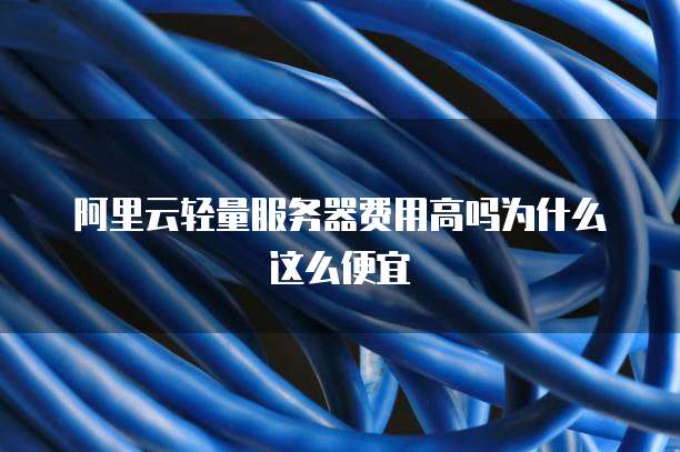 阿里云轻量服务器费用高吗为什么这么便宜