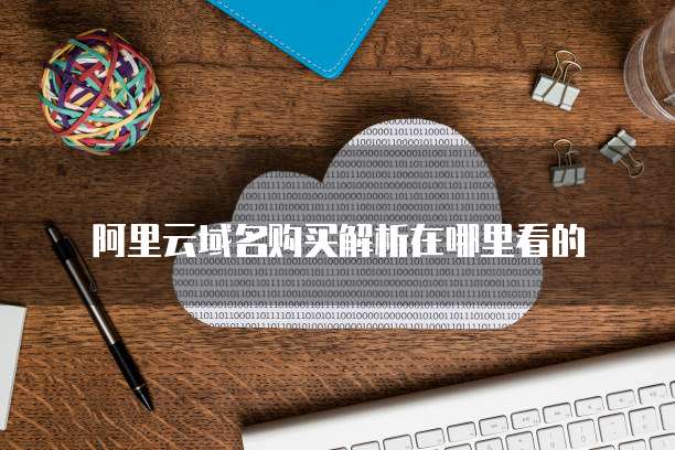 阿里云域名购买解析在哪里看的