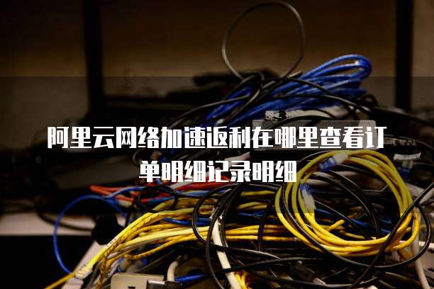 阿里云网络加速返利在哪里查看订单明细记录明细