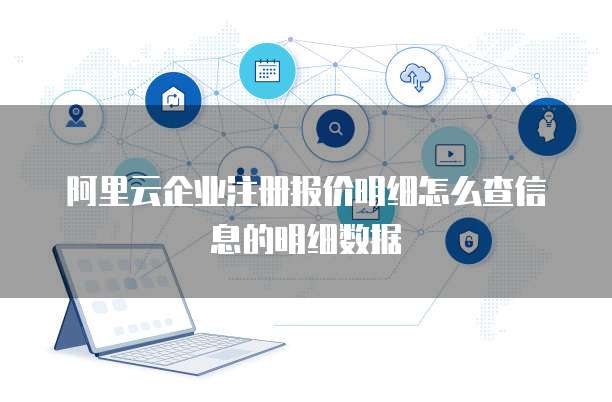 阿里云企业注册报价明细怎么查信息的明细数据