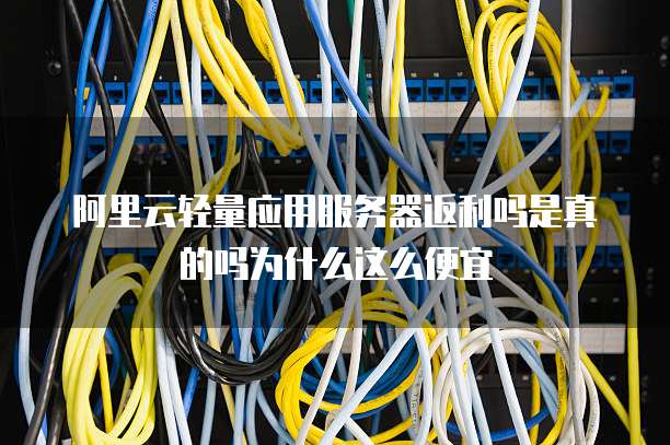 阿里云轻量应用服务器返利吗是真的吗为什么这么便宜