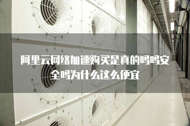 阿里云网络加速购买是真的吗吗安全吗为什么这么便宜