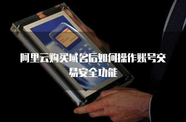 阿里云购买域名后如何操作账号交易安全功能