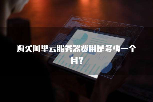 购买阿里云服务器费用是多少一个月?