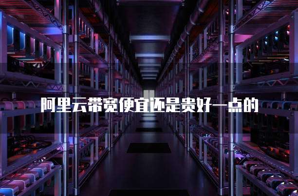 阿里云带宽便宜还是贵好一点的