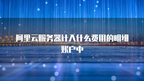 阿里云服务器计入什么费用的明细账户中