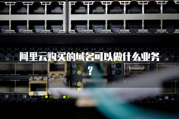 阿里云购买的域名可以做什么业务？