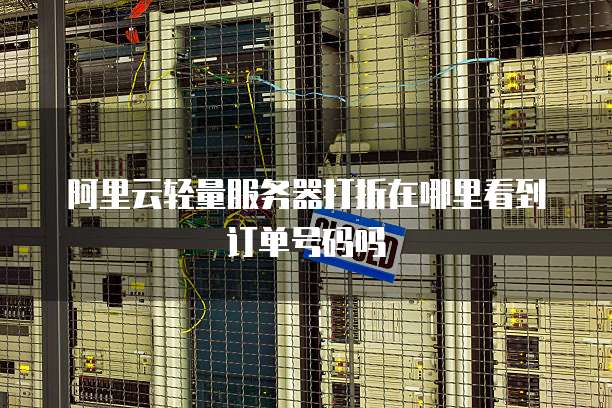 阿里云轻量服务器打折在哪里看到订单号码吗