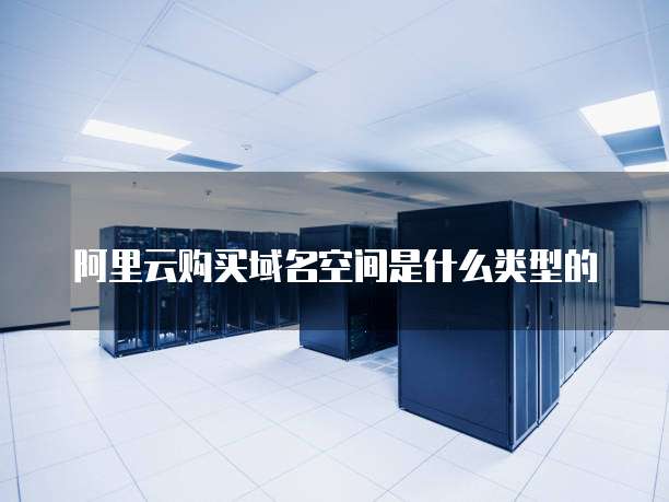 阿里云购买域名空间是什么类型的