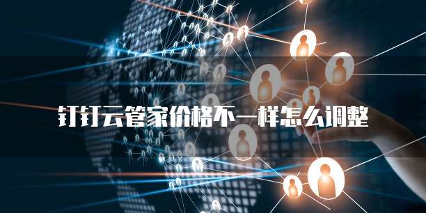 钉钉云管家价格不一样怎么调整