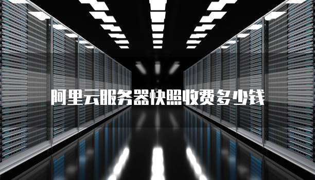 阿里云服务器快照收费多少钱