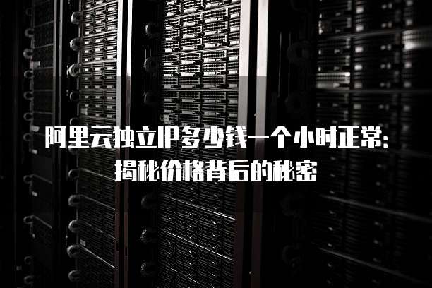 阿里云独立IP多少钱一个小时正常:揭秘价格背后的秘密