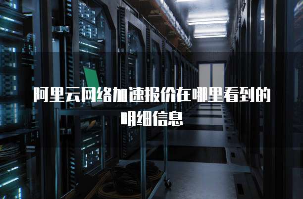 阿里云网络加速报价在哪里看到的明细信息
