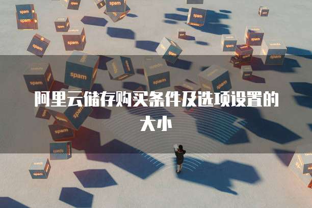 阿里云储存购买条件及选项设置的大小