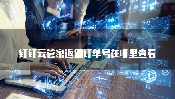 钉钉云管家返佣订单号在哪里查看