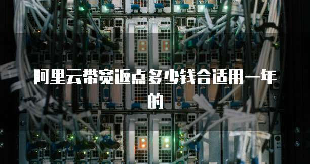 阿里云带宽返点多少钱合适用一年的