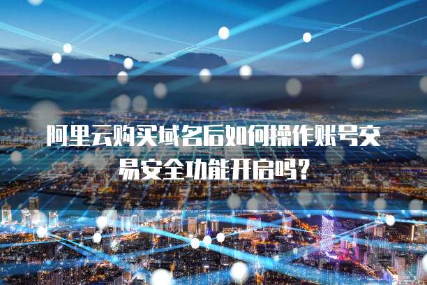 阿里云购买域名后如何操作账号交易安全功能开启吗?