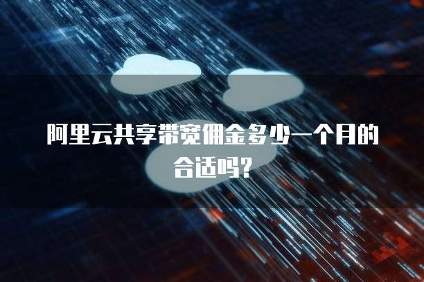 阿里云共享带宽佣金多少一个月的合适吗?