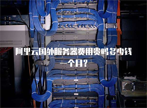 阿里云国外服务器费用贵吗多少钱一个月?