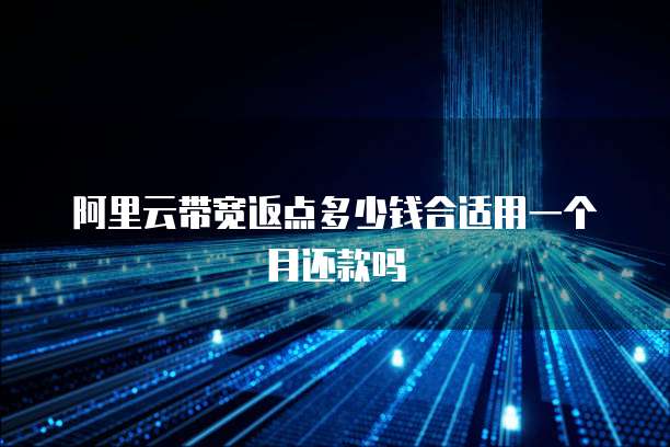 阿里云带宽返点多少钱合适用一个月还款吗