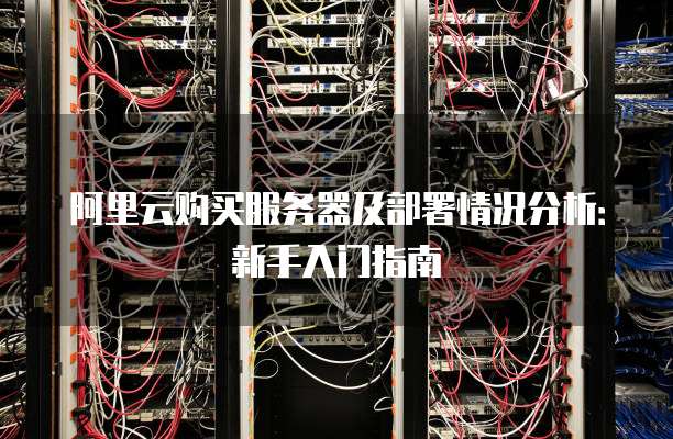 阿里云购买服务器及部署情况分析:新手入门指南