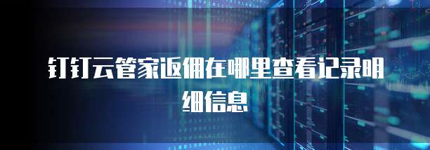 钉钉云管家返佣在哪里查看记录明细信息
