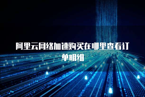 阿里云网络加速购买在哪里查看订单明细