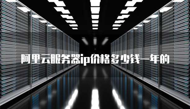 阿里云服务器ip价格多少钱一年的