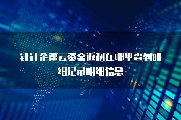钉钉企速云资金返利在哪里查到明细记录明细信息