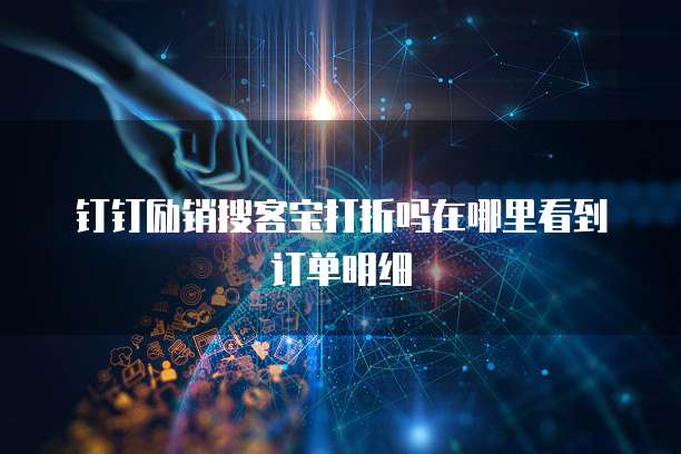钉钉励销搜客宝打折吗在哪里看到订单明细