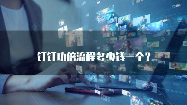 钉钉功倍流程多少钱一个？