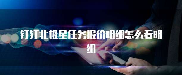 钉钉北极星任务报价明细怎么看明细