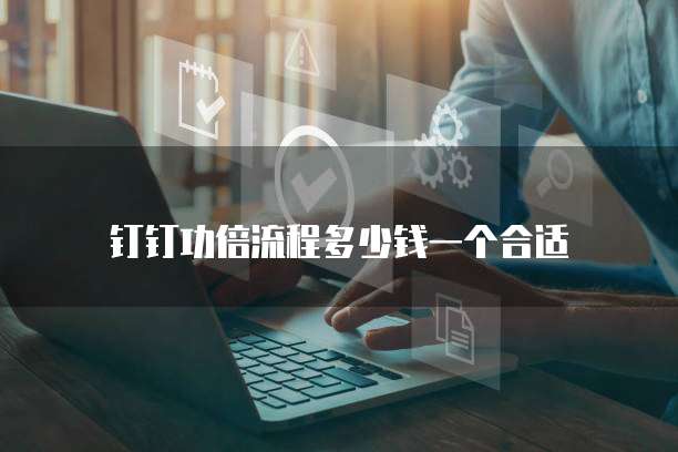 钉钉功倍流程多少钱一个合适