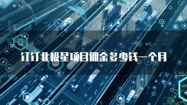 钉钉北极星项目佣金多少钱一个月