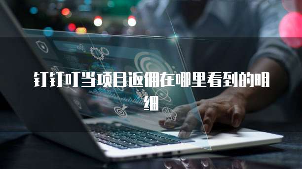 钉钉叮当项目返佣在哪里看到的明细