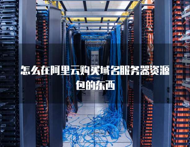 怎么在阿里云购买域名服务器资源包的东西