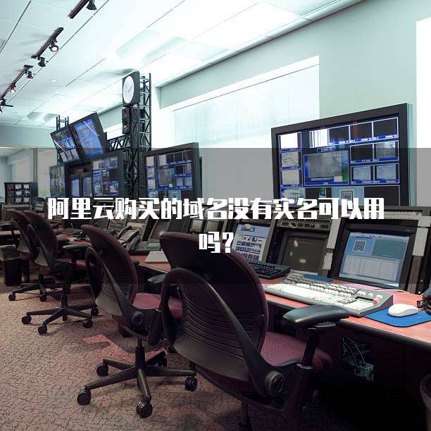 阿里云购买的域名没有实名可以用吗?