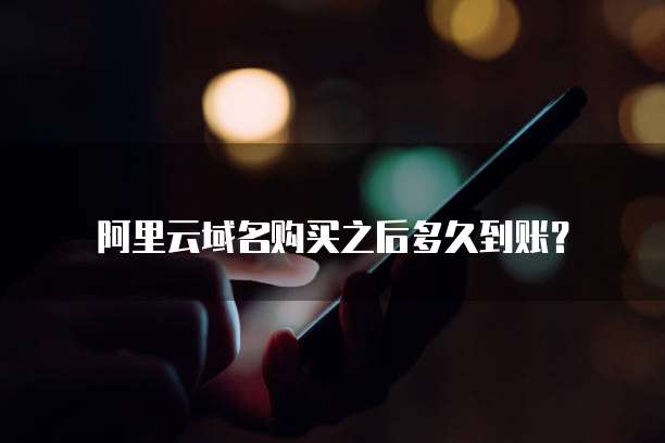 阿里云域名购买之后多久到账？