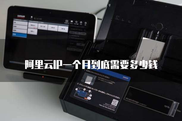 阿里云IP一个月到底需要多少钱