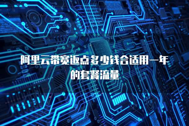 阿里云带宽返点多少钱合适用一年的套餐流量