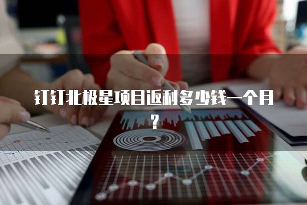 钉钉北极星项目返利多少钱一个月?