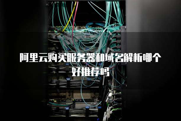 阿里云购买服务器和域名解析哪个好推荐吗