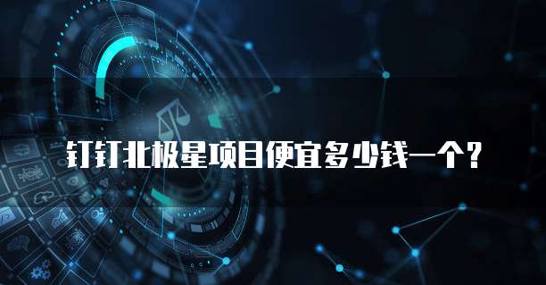 钉钉北极星项目便宜多少钱一个?