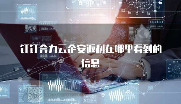 钉钉合力云企安返利在哪里看到的信息