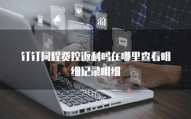 钉钉同程费控返利吗在哪里查看明细记录明细