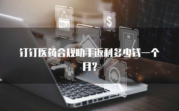 钉钉医药合规助手返利多少钱一个月?