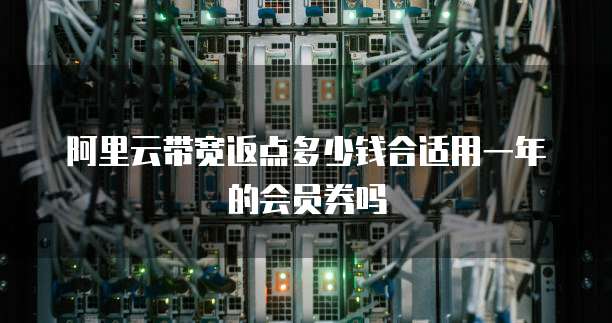 阿里云带宽返点多少钱合适用一年的会员券吗