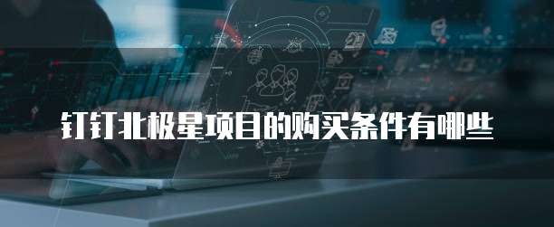 钉钉北极星项目的购买条件有哪些