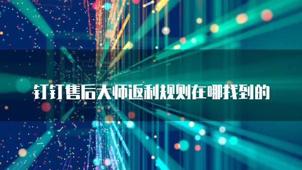 钉钉售后大师返利规则在哪找到的