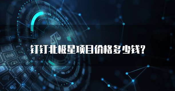 钉钉北极星项目价格多少钱?